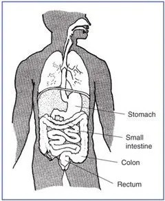 Kansas City Lactose Intolerance Doctors