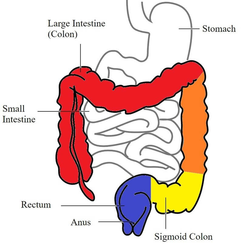 Kansas City Ulcerative Colitis Doctors